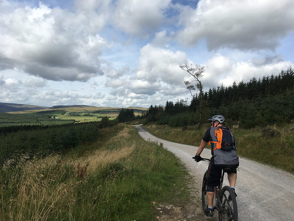 forest-biking